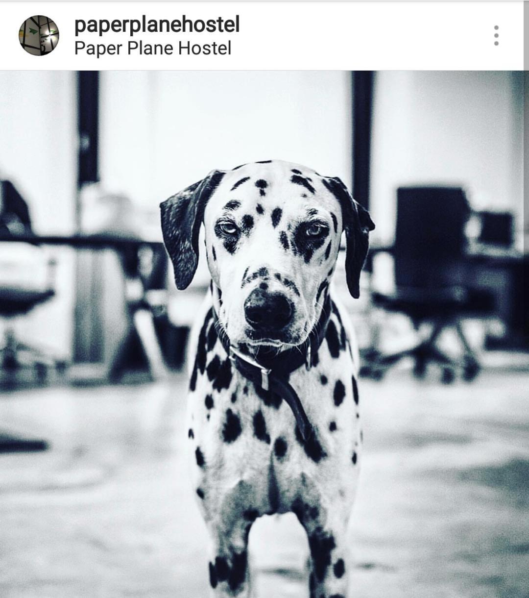 Paper Plane Hostel Kuala Lumpur Extérieur photo